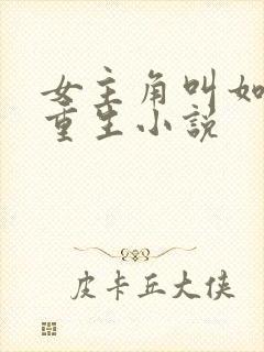 女主角叫如意的重生小说