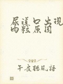 尿道口出现红色肉粒原因