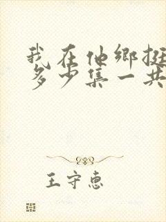 我在他乡挺好的多少集一共