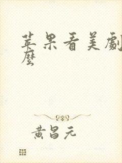 苹果看美剧用什么