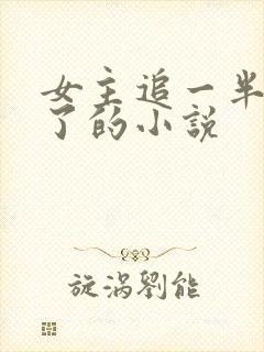 女主追一半不追了的小说