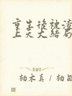 重生后被渣男宠上天大结局短剧在线观看