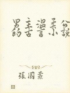 男主温柔公子型的古言小说