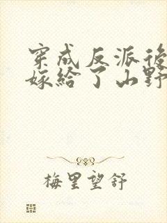 穿成反派后娘我嫁给了山野糙汉