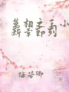 万相之王小说最新章节列