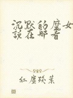 沉默的魔女轻小说在哪看