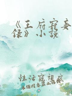 《王府宠妾进阶录》小说