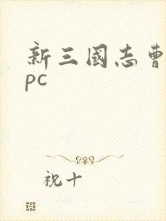 新三国志曹操传pc