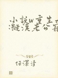 小说w重生七零:糙汉老公宠妻成瘾》