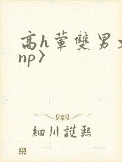 高h荤双男文〈np〉