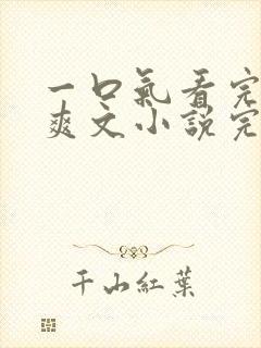 一口气看完修仙爽文小说完结视频