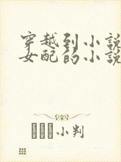 穿越到小说里当女配的小说