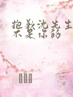 抱歉沈先生孩子不是你的