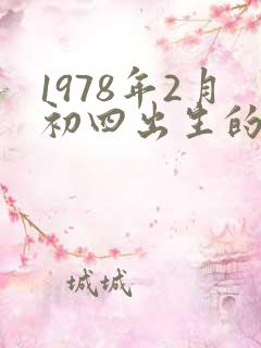 1978年2月初四出生的马一生命运