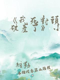 《我死对头终于破产了》 小说