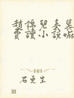 赵锦儿秦慕修免费读小说嘛