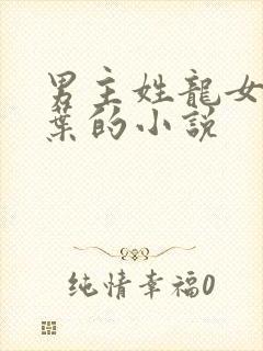 男主姓龙女主姓叶的小说