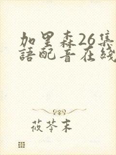 加里森26集国语配音在线观看免费