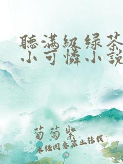 听满级绿茶穿成小可怜小说