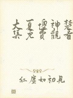 大夏傻神楚南全集免费观看