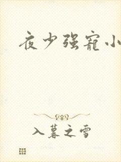 夜少强宠小娇妻