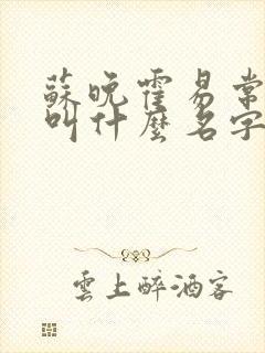 苏晚霍易常小说叫什么名字