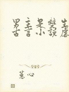 男主是双生子的古言小说虐文