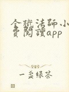 全职法师小说免费阅读app