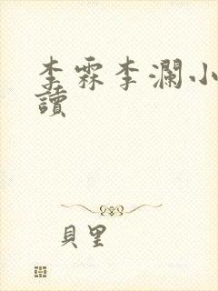 李霖李澜小说阅读