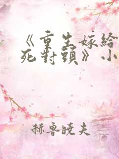 《重生嫁给前夫死对头》小说