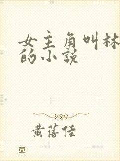 女主角叫林清雅的小说