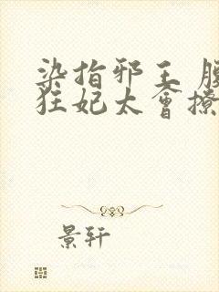 染指邪王 腹黑狂妃太会撩