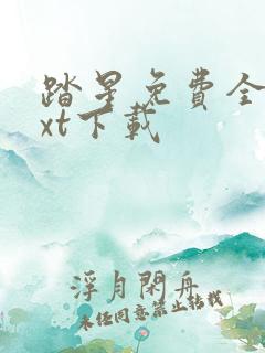 踏星免费全本txt下载