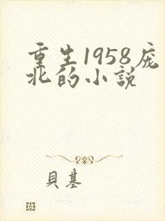 重生1958庞北的小说