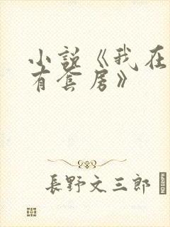 小说《我在末世有套房》