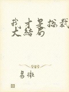 我才是总裁夫人大结局