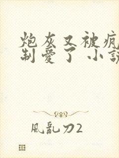 炮灰又被疯批强制爱了 小说