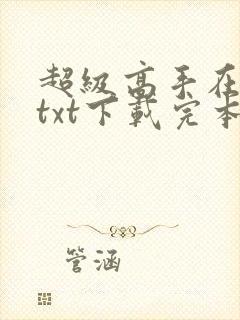 超级高手在都市txt下载完本