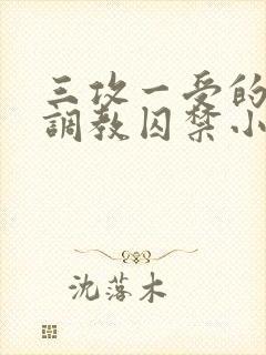 三攻一受的3p调教囚禁小说