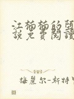 江楠楠的堕落小说免费阅读