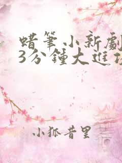 蜡笔小新剧场版3分钟大进攻国语