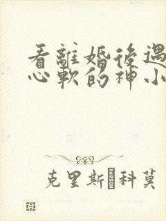 看离婚后遇见了心软的神小说免费完整版