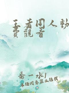 王者同人动漫免费观看