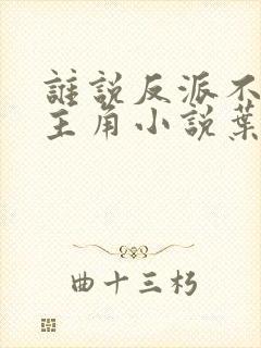 谁说反派不能当主角小说叶玄