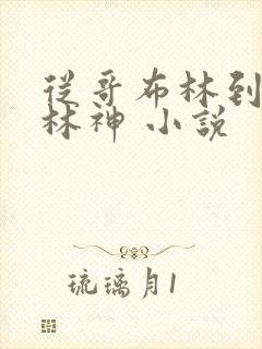 从哥布林到哥布林神 小说