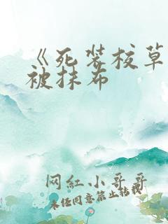 《死装校草活该被抹布