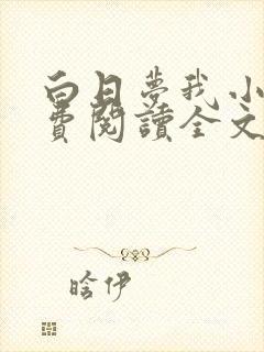 白日梦我小说免费阅读全文完整版