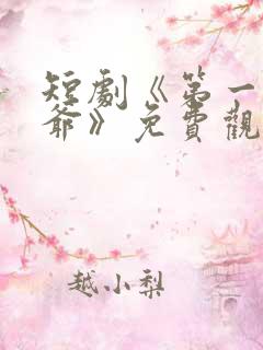 短剧《第一驸马爷》免费观看