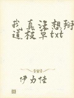 我真没想掰弯霸道校草txt