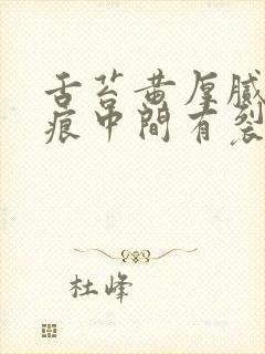 舌苔黄厚腻有齿痕中间有裂纹